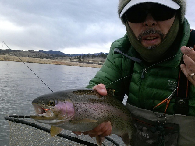 Higher flows on the MO are perfect conditions for the worm!