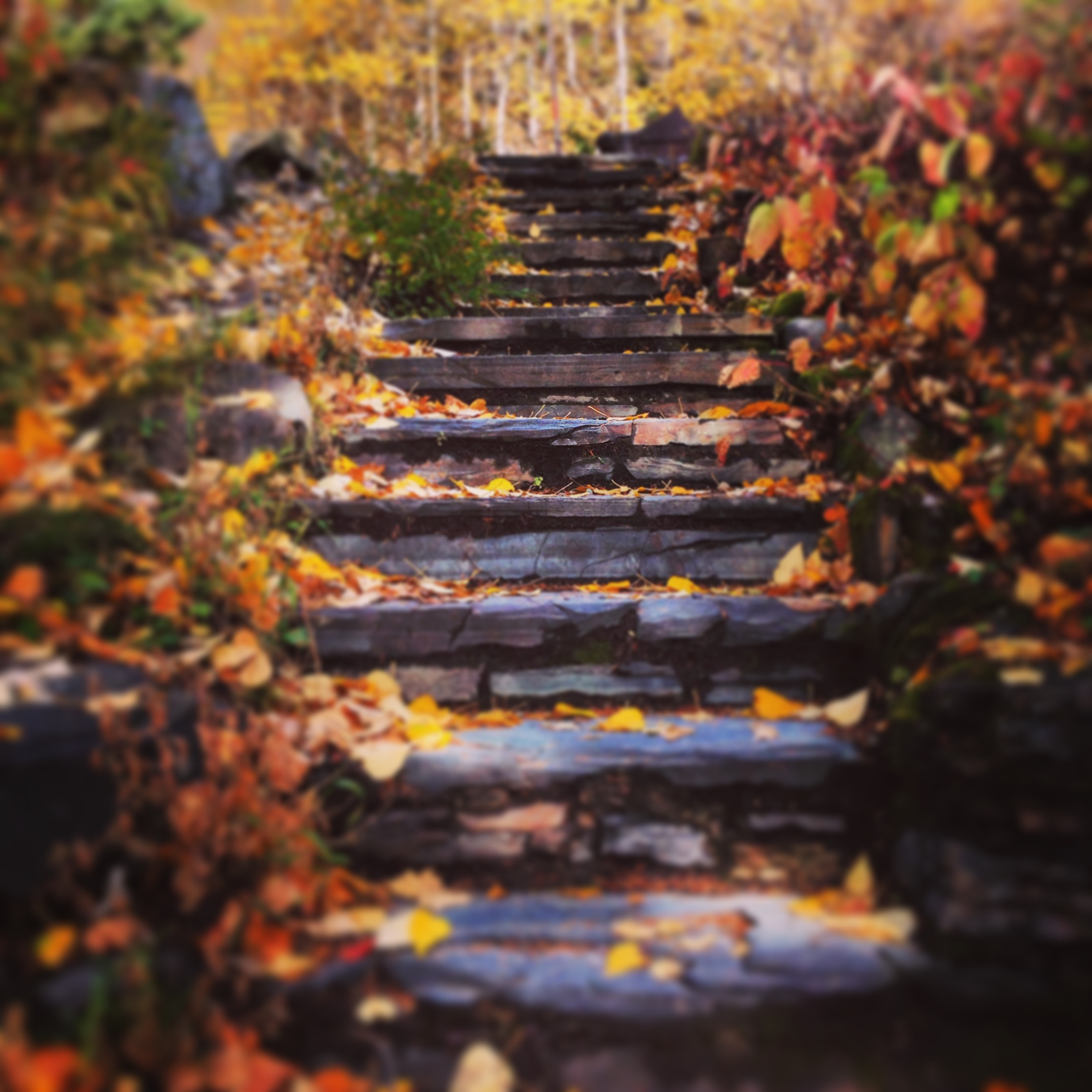 Autumn Ascent - photo by Jason Orzechowski 